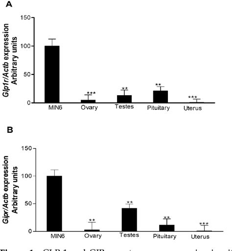 Table 1 From Evidence For Involvement Of GIP And GLP 1 Receptors And