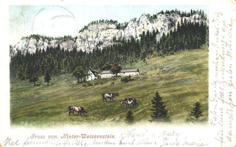 Hinter Weissenstein Gel Stempel Weissenstein 1907 Litho Kaufen Auf