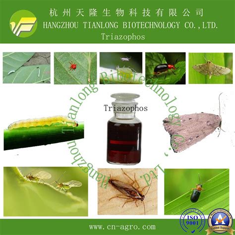 Triazophos 85 Tc 200ec 400ec 2 G 5 G Insecticide Acaricide Nematicide Insecticides And