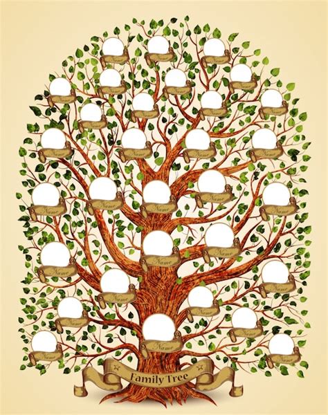 Plantilla De Ilustracion De Arbol Genealogico Descargar Vectores Images