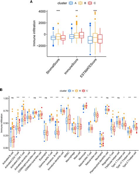 Frontiers Identification Of Cuproptosis Related Subtypes The