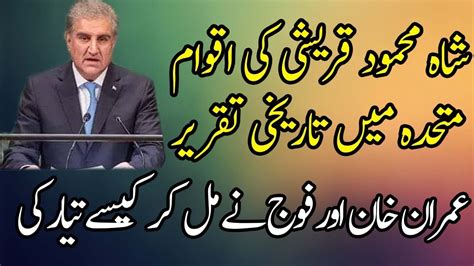 Brilliant And Positive Speech Of Shah Mehmood Qureshi At UN YouTube