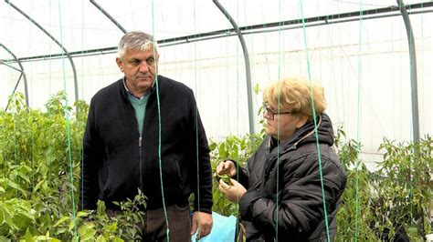 În Grădina Danei TVR 1 Costel Vînătoru Legume inedite de cultivat în