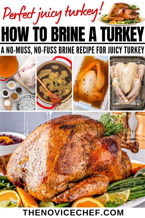 The Best Turkey Brine Recipe The Novice Chef