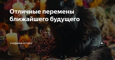 Отличные перемены ближайшего будущего | Учудилки от Таро | Дзен