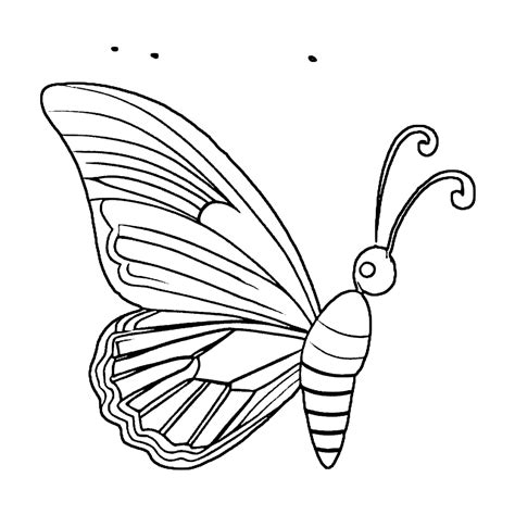 Butterfly Outline Coloring Page Creative Fabrica