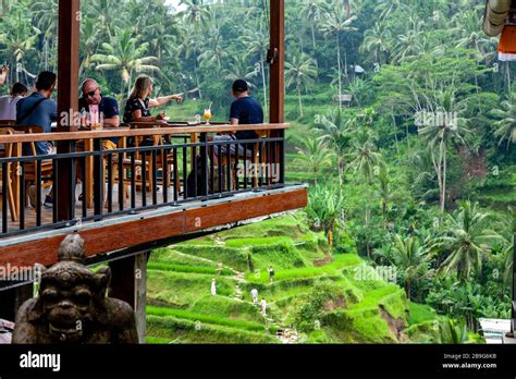 Visitors At A Cafe Restaurant Overlooking The Tegalalang Rice Terraces Ubud Bali Indonesia