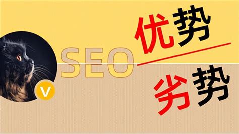 Seo有什么价值（seo是靠什么优化的） 8848seo