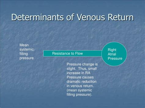 Ppt Cardiac Output Powerpoint Presentation Free Download Id226158