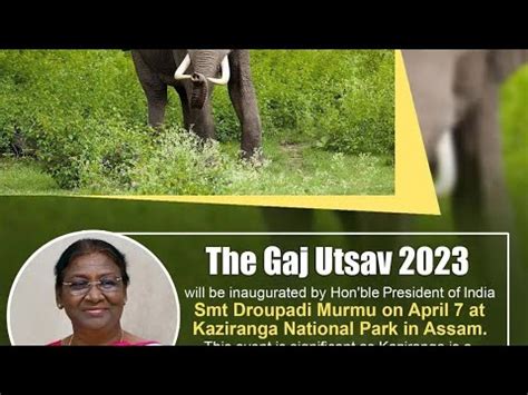 Gaj Utsav 2023 Thirty Years Of Project Elephant YouTube