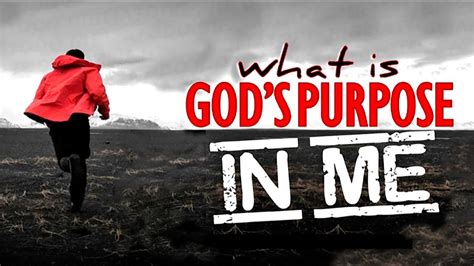 What Is Gods Purpose In Me Youtube