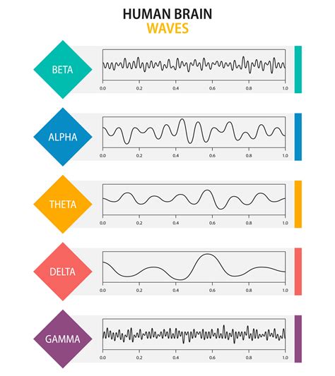 Conjunto De Oscilación De Ondas Cerebrales Ondas Cerebrales Beta Alfa