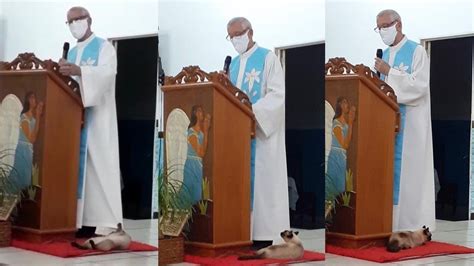 Gata Brinca Batina De Padre Assiste Missas H Ano E A Fiel Mais Ass Dua De Igreja Em