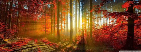 Fall Dual Monitor Wallpapers - Top Free Fall Dual Monitor Backgrounds