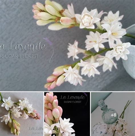 512 best Fondant : Flowers images on Pinterest