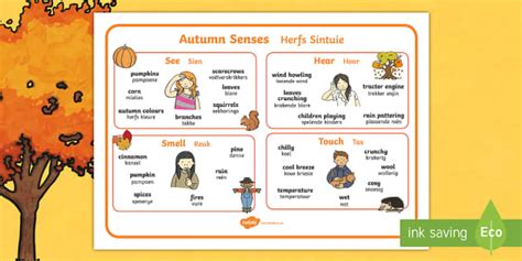 Autumn Senses Word Mat Englishafrikaans Teacher Made