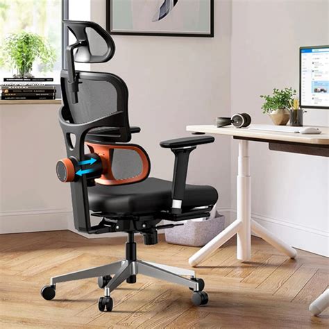 Eureka Ergonomic Dynamic Lumbar Support Office Chair with Footrest