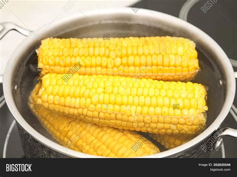 Pot Boiling Fresh Corn Image & Photo (Free Trial) | Bigstock