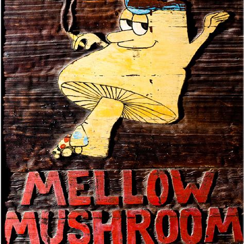story mellow mushroom