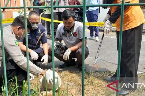 Warga Cilegon Temukan Jasad Bayi Yang Sebagian Tubuhnya Rusak Antara