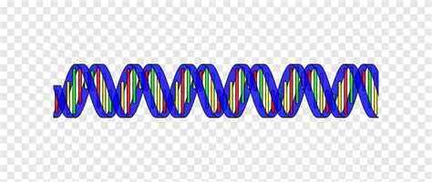 Helix Ganda Laporan Pribadi Penemuan Struktur DNA Heliks Ganda Asam