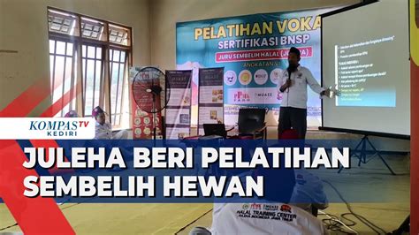 Dpd Juleha Kediri Gelar Pelatihan Cara Menyembelih Hewan Yang Halal