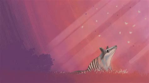 Ubuntu 24 04 Lts Noble Numbat Wallpapers Revealed Neowin