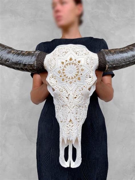 C Authentic Hand Carved Large White Water Buffalo Skull Catawiki