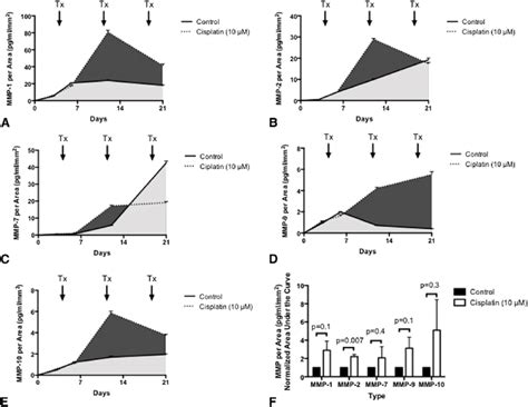 Matrix Metalloproteinase Mmp Production Per Tumor Area In The D