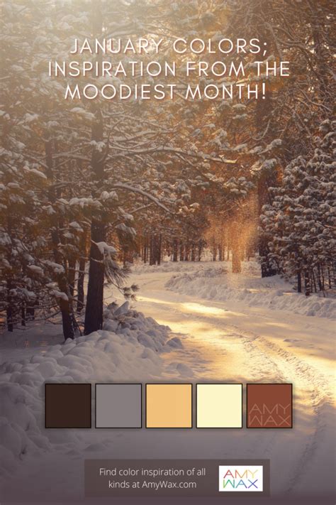 January Colors Inspiration From The Moodiest Month