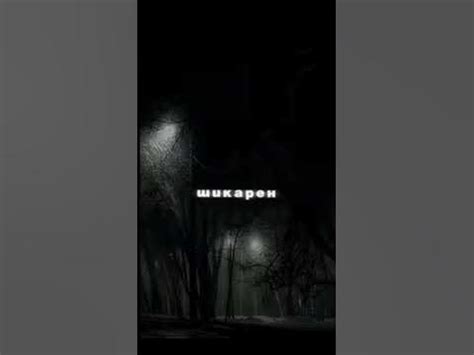 монтаж бомба чесно говоря ️‍🩹 - YouTube