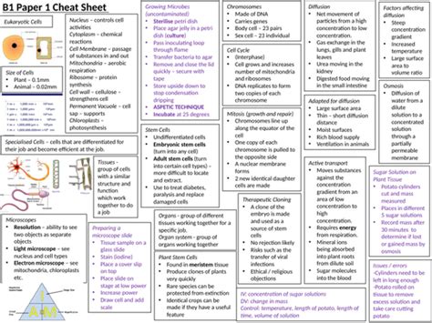 New Aqa Biology Paper 1 Cheat Sheet Teaching Resources