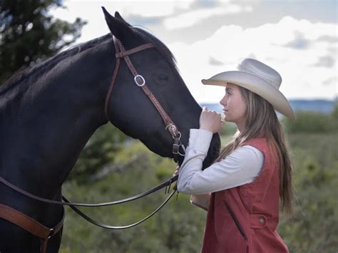 Heartland Amy And Spartan Wallpapers Wallpaper Cave