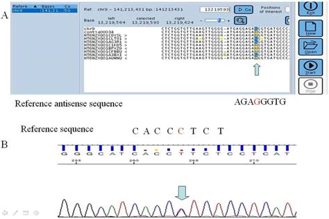 The Electropherograms Of Representative A A The Read Image From The