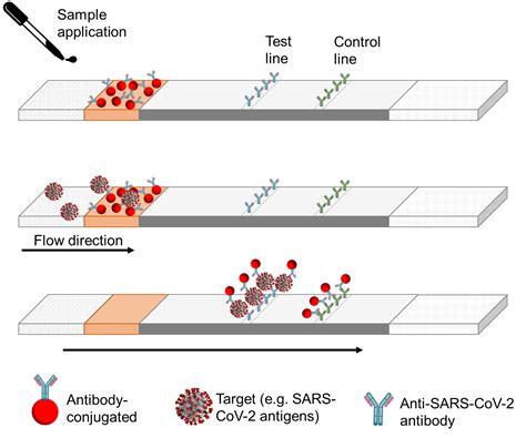 Lateral Flow Assays Reagents And Equipment For R D Of Lateral Flow Assays