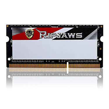 G Skill Ripjaws Series So Dimm Go Ddr Ddr L Mhz Cl M Moire