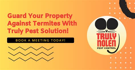 How To Get Rid Of Flying Termites 5 Effective Solutions Truly Blog