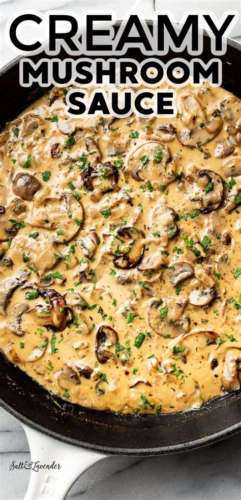 Easy Mushroom Sauce All Season Recipes