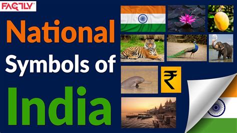 Top National Symbols Of India Images Amazing Collection National