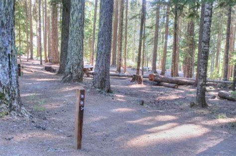 Clear Lake Campground Mt Hood Oregon