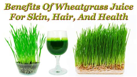 Best Benefits Of Wheatgrass Juice For Skin Hair And Heal Flickr