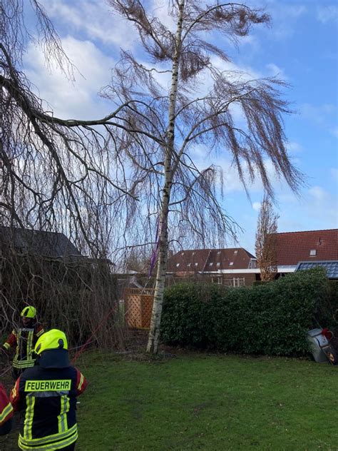 Baum droht auf Garage zu stürzen Feuerwehr Warsingsfehn