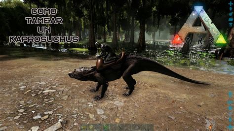 Como Tamear Un Kaprosuchus De Manera F Cil Y R Pida En Ark Survival