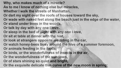 Miracles By Walt Whitman Read By Tom O Bedlam Walt Whitman Walt Whitman Poems Whitman Poems