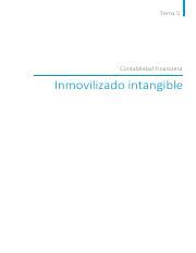 Tema Pdf Tema Contabilidad Financiera Inmovilizado Intangible