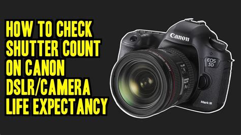 Check Shutter Count Canon Mzaervegan