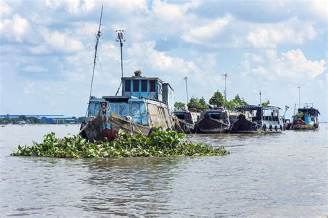 Vietnam An Giang Long Xuyen View To Floating Market At Mekong Stock