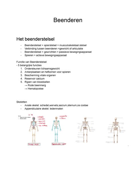 Samenvatting Beenderen Anatomie Beenderen Het Beenderstelsel