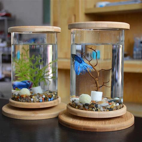 Bể cá Betta hình trụ để bàn 10 x 15cm Có đế xoay Shopee Việt Nam