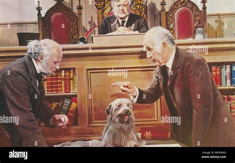 Greyfriars Bobby 196o Donald Crisp Credit Disney Gfb 006 Stock Photo